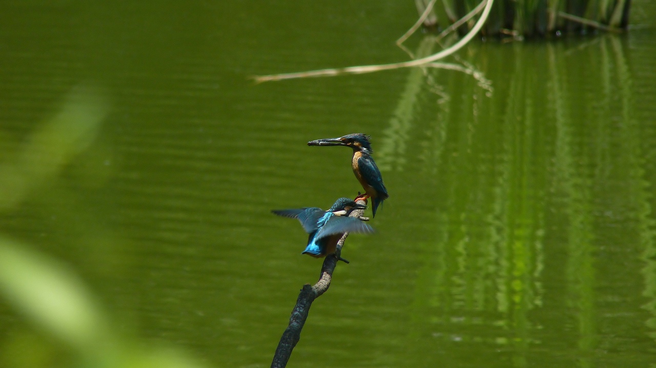 a0185081_15494770.jpg