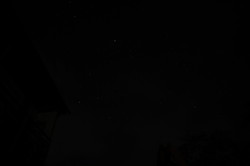 a0116490_8241437.jpg