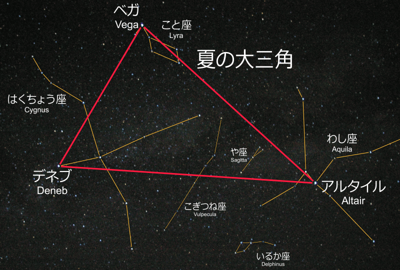 a0116490_8261531.png