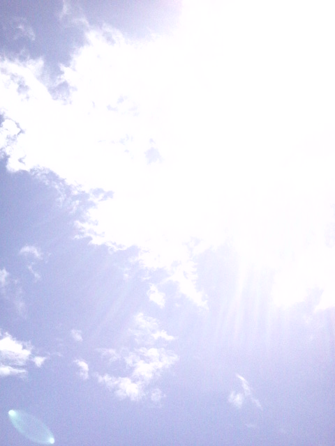 f0298891_17161978.jpg