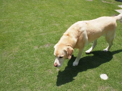 c0028792_2252794.jpg