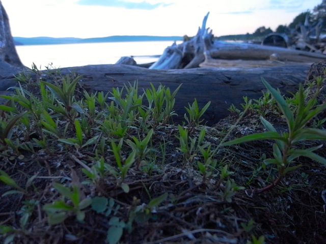 e0250594_85966.jpg