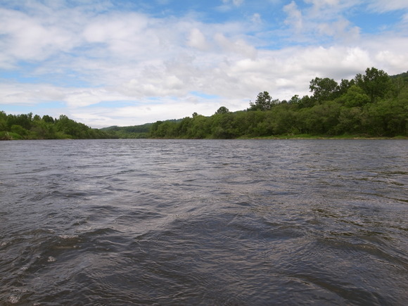 d0156298_711523.jpg
