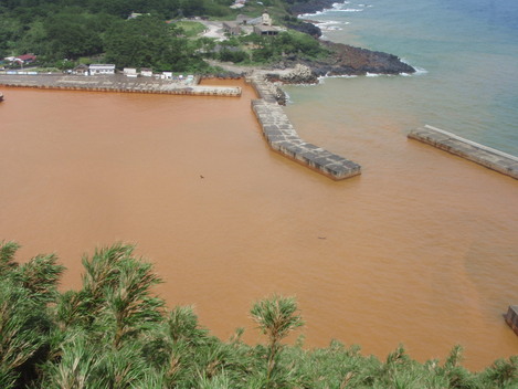 e0269900_1144592.jpg