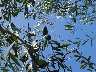 c0152002_1195546.jpg
