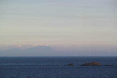 e0205502_2314491.jpg