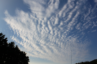 e0205502_2344673.jpg