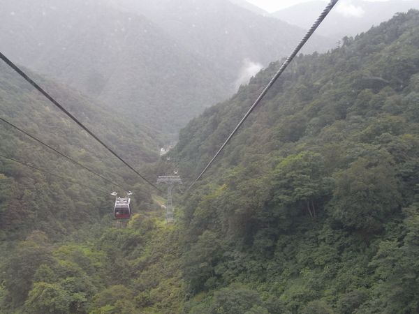 f0006510_2238206.jpg