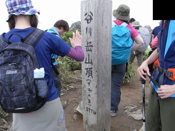 f0006510_2310925.jpg