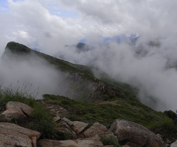 f0006510_23175625.jpg