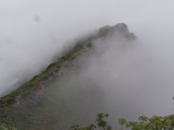 f0006510_2383588.jpg