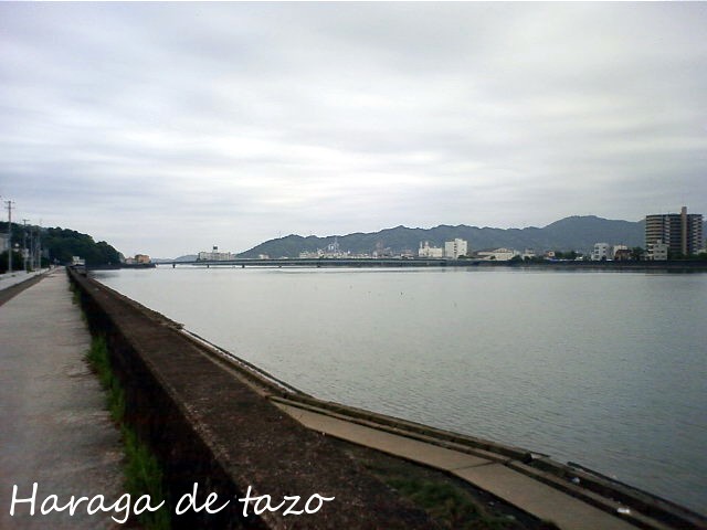 f0155614_23385380.jpg