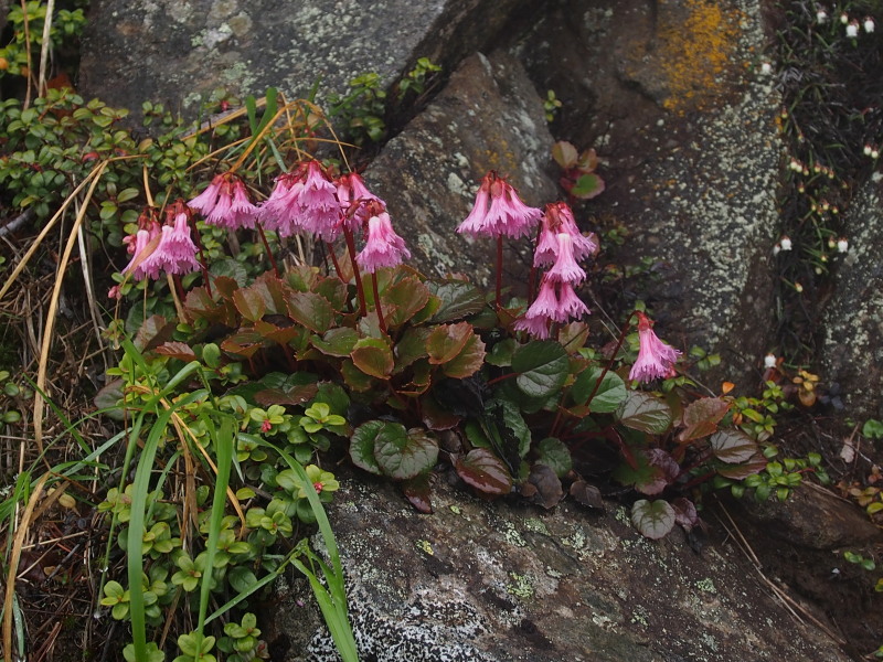 c0085622_21281891.jpg