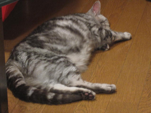 e0191826_0183817.jpg