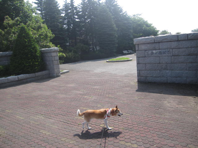 e0191826_065719.jpg