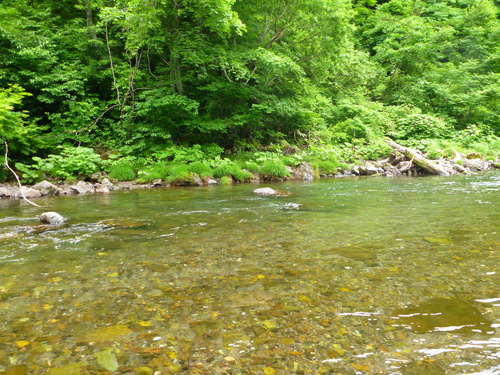 b0195927_2381510.jpg