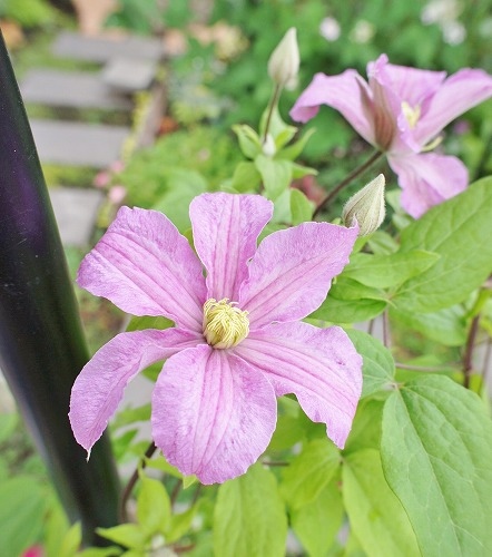 f0205733_0271220.jpg
