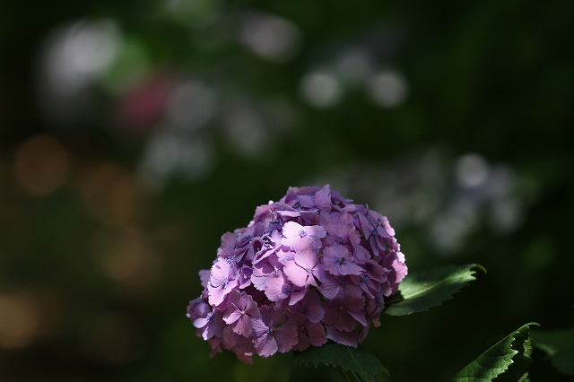a0242438_19264024.jpg