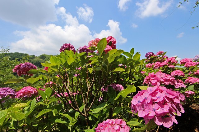 a0242438_19271276.jpg
