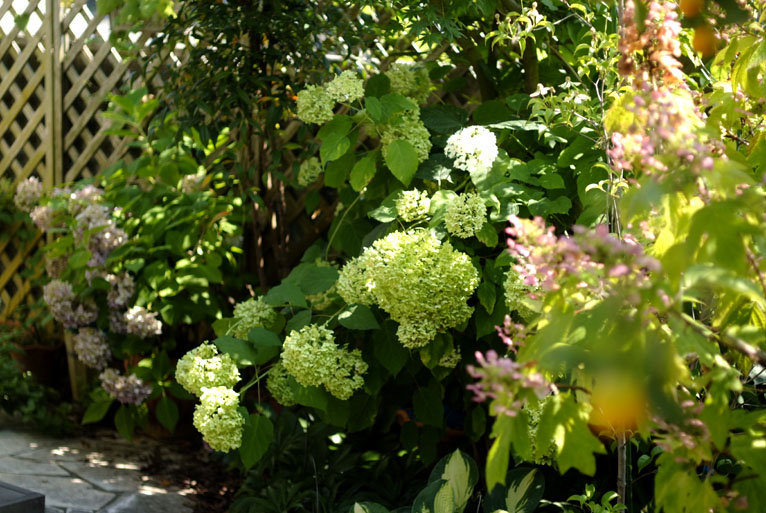 b0075541_23364214.jpg