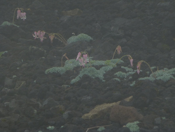 c0081645_23391745.jpg