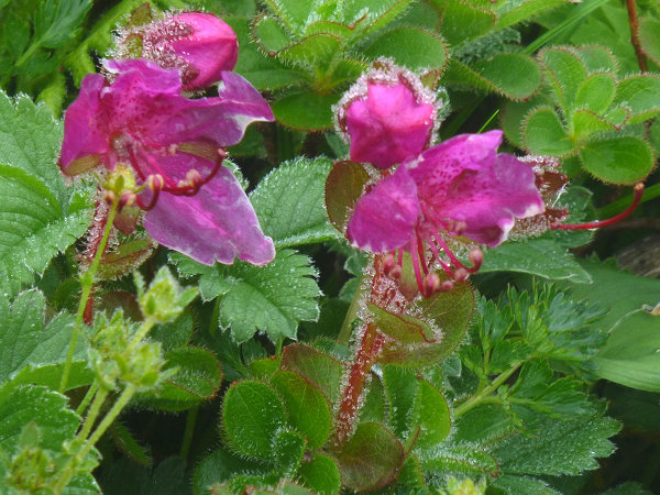 c0081645_23524735.jpg