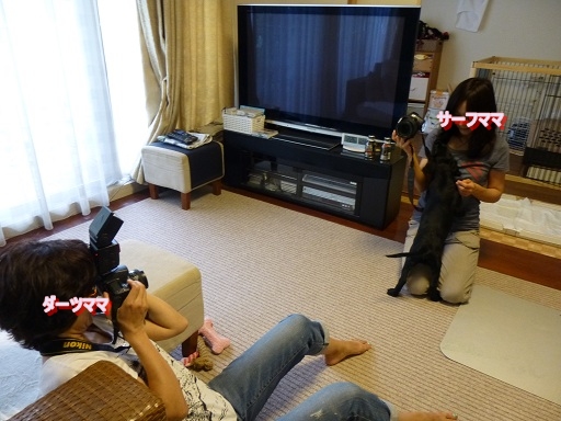 f0107145_2255432.jpg