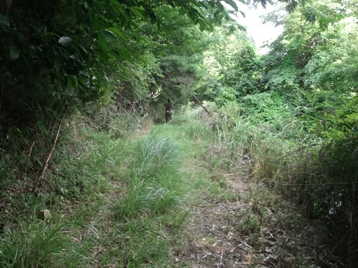 a0237349_172223.jpg