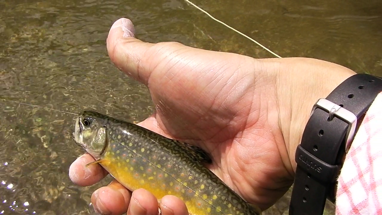 f0163561_7103314.jpg