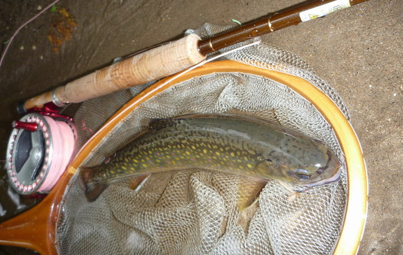 f0163561_7111016.jpg