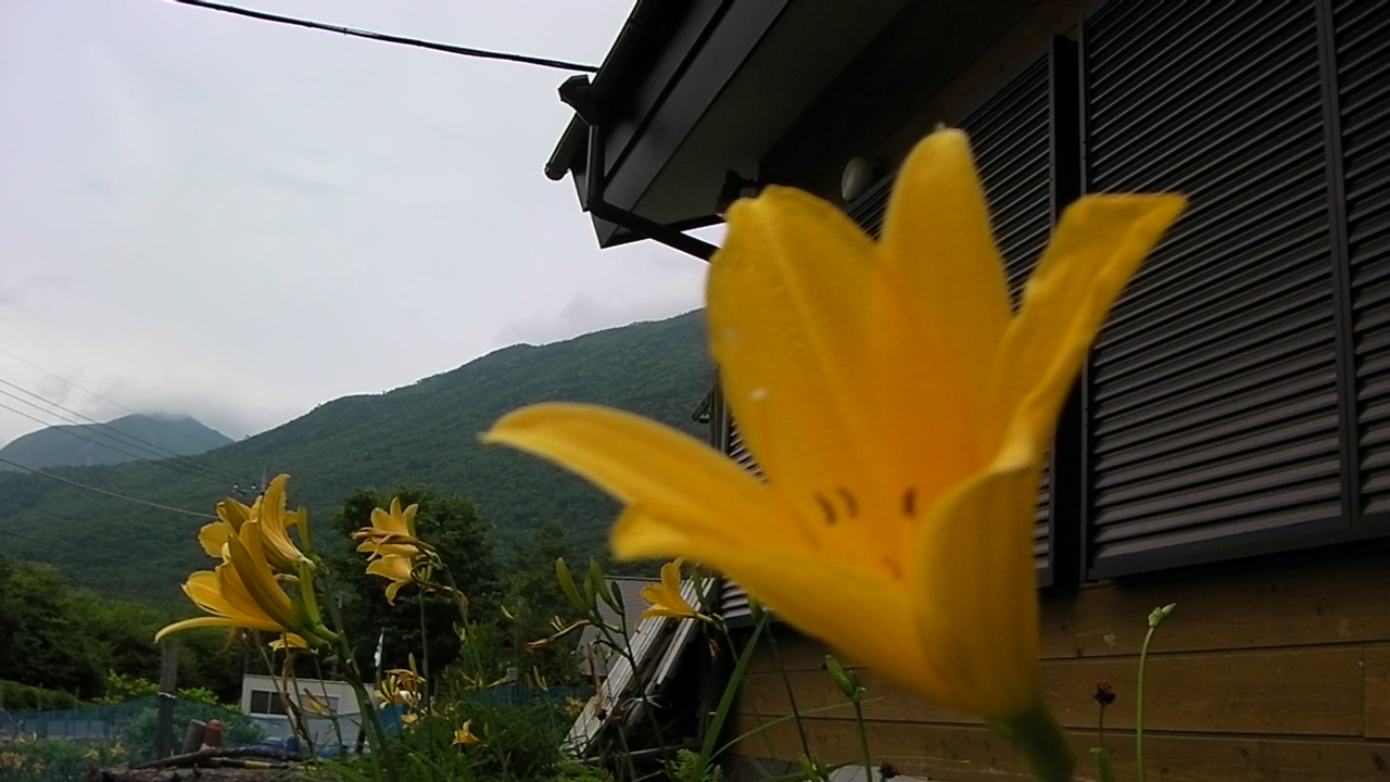 f0163561_772359.jpg