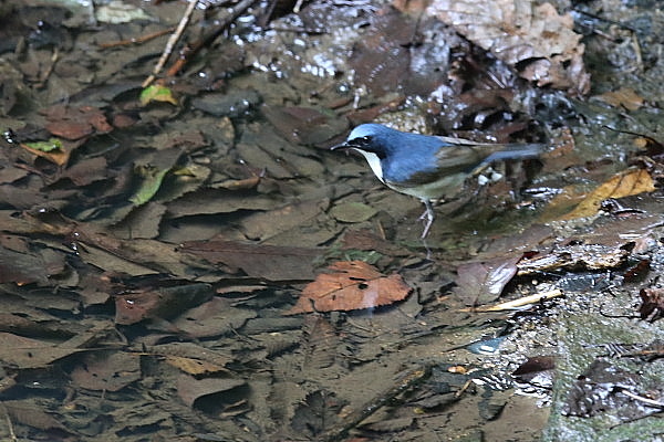 f0215964_16472883.jpg