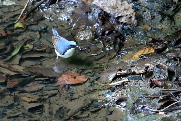 f0215964_16474415.jpg