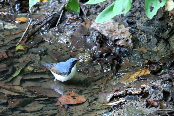 f0215964_16481696.jpg