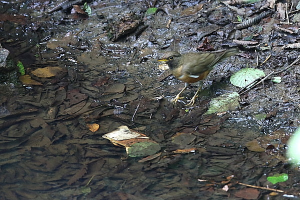 f0215964_16485862.jpg
