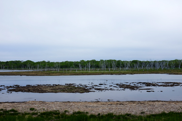 c0048265_17142894.jpg