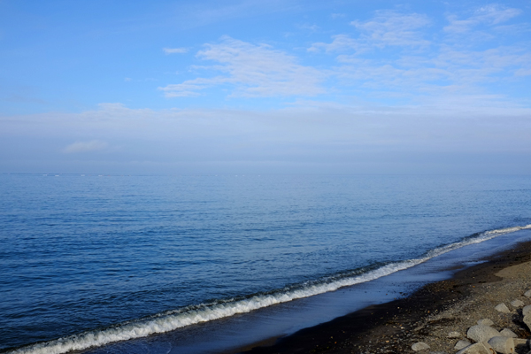 c0048265_177571.jpg
