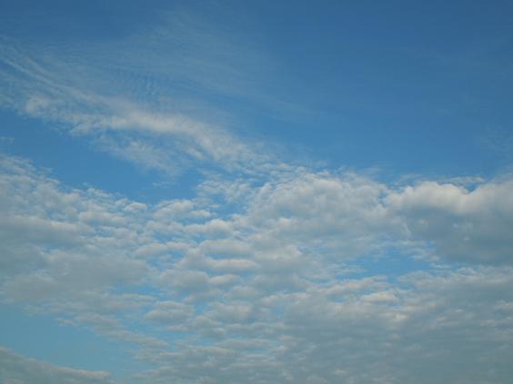 e0107171_4543295.jpg