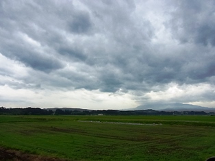 a0258087_7251358.jpg