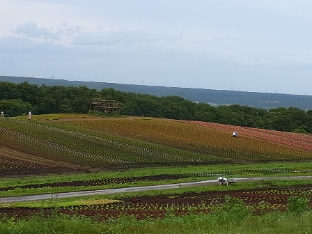 a0258087_7271656.jpg