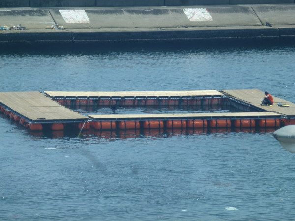 b0118987_15563297.jpg