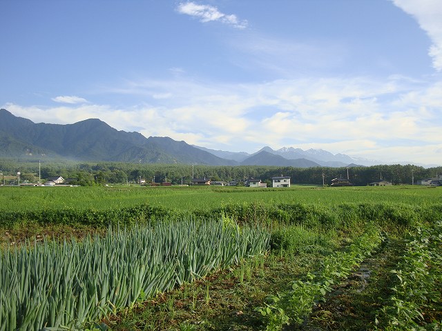 d0258487_13255185.jpg