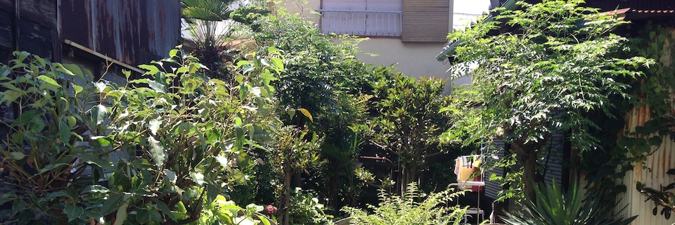 c0170789_15334057.jpg