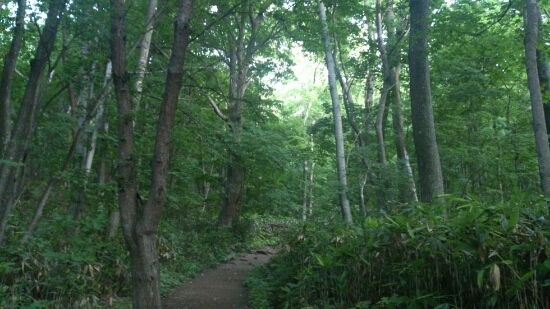 f0202990_21561764.jpg