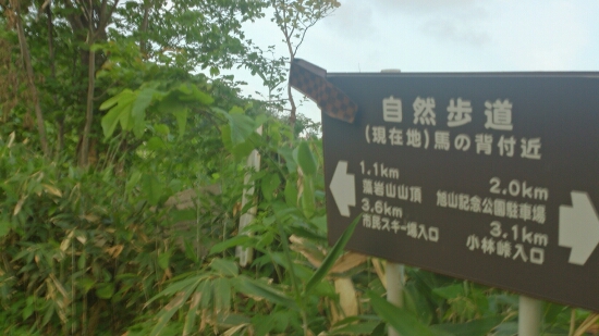 f0202990_21572515.jpg