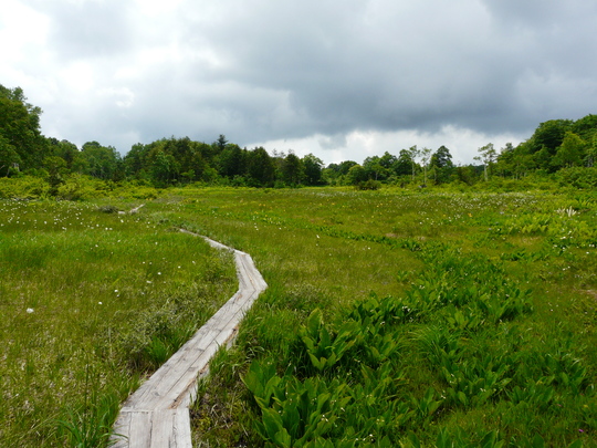 a0272591_0274998.jpg