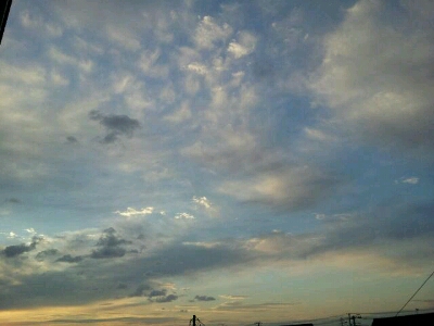 d0239796_4351283.jpg