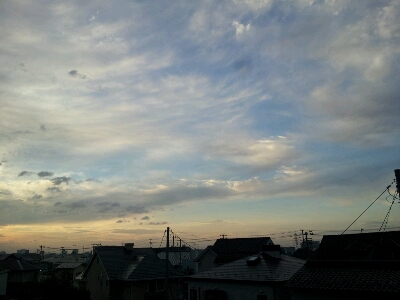 d0239796_4402731.jpg
