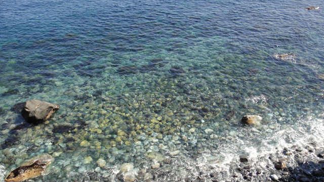 d0004301_23105030.jpg