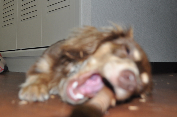 e0007801_0463121.jpg